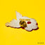 【東京公演 7/4・5】MGA Random Items “IM/MUTABLE”
